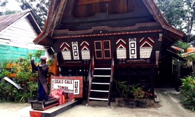 1491896907Tomok moqbk4ba8784jbpo9l3u43irnsabn3qmu4pmnpjp34 1 768x461