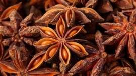 Resep Bunga Lawang, Tingkatkan Gairah Seks Hingga Turunkan Gula Darah