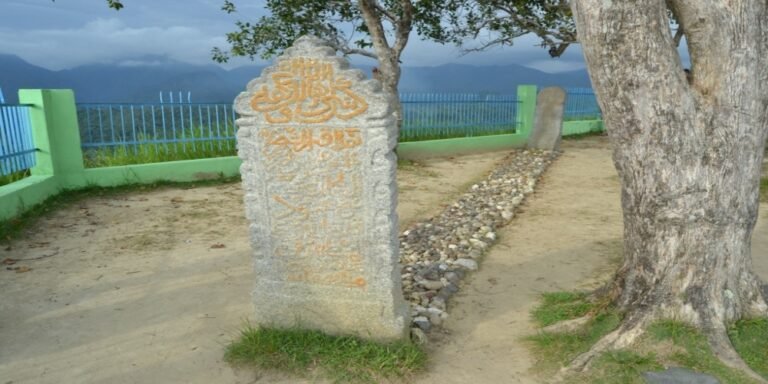 th1 2020050212175196099 768x384