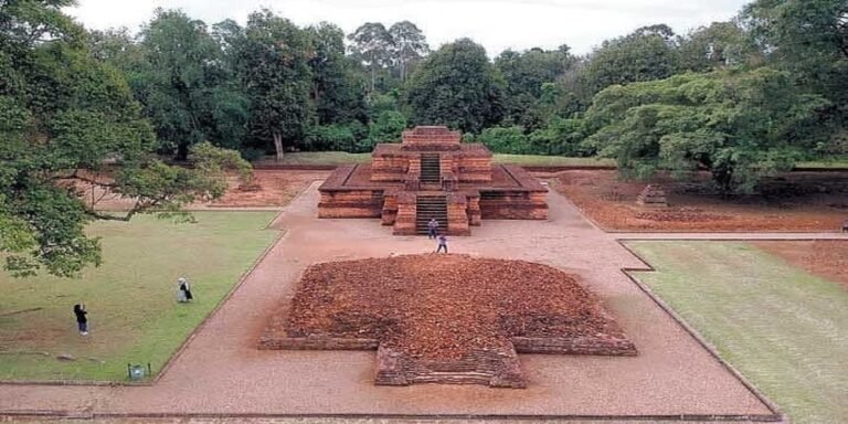 th1 2020051906262337294 768x384