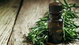 Suka Tanaman Aromatik dan Minyak Esensial, Tempat Wisata Ini Wajib Dikunjungi