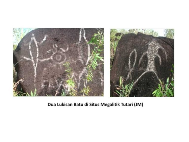 tutari 1 5af4122c16835f4fdf1e39c3 768x576