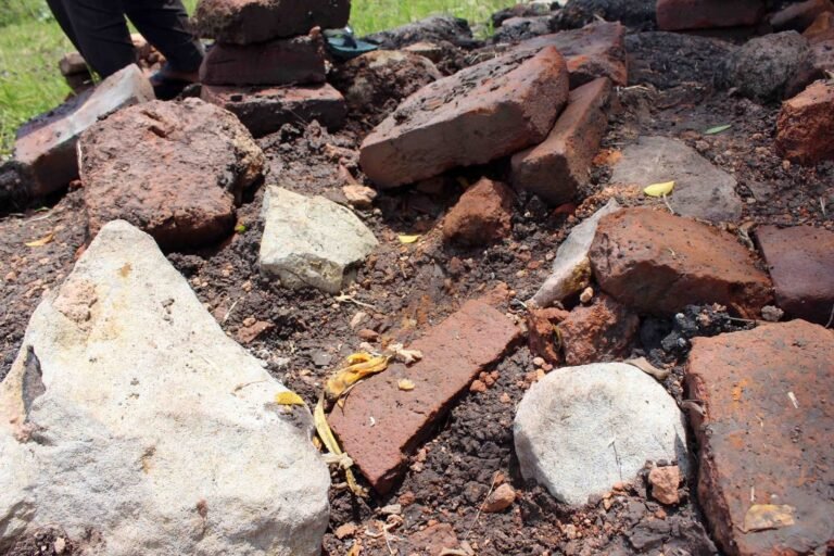 BATA KUNA YANG DITEMUKAN DI LOKASI 768x512