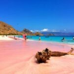 Kenapa Pasir Pink Beach di Flores, NTT Berwarna Merah Muda?