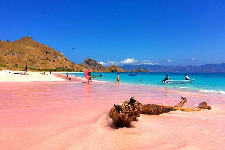 Kenapa Pasir Pink Beach di Flores, NTT Berwarna Merah Muda?