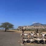 Daftar Lengkap TN, TWA, dan Suaka Margasatwa di Indonesia