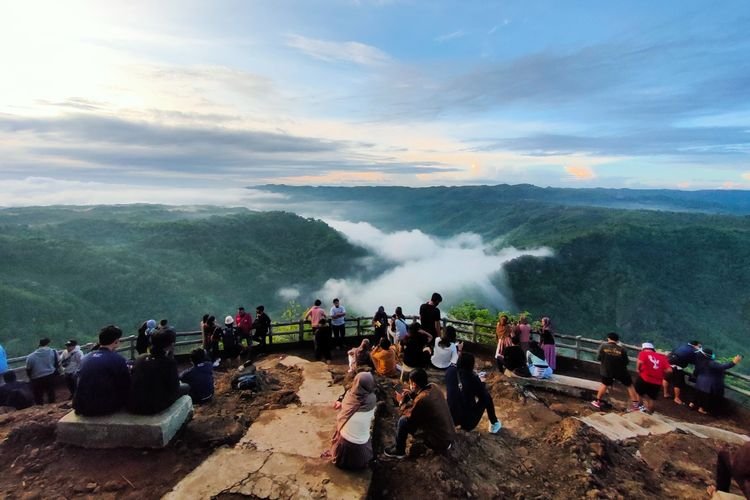 Kebun Buah Mangunan dengan panorama kabut seakan berada di negeri di atas awan