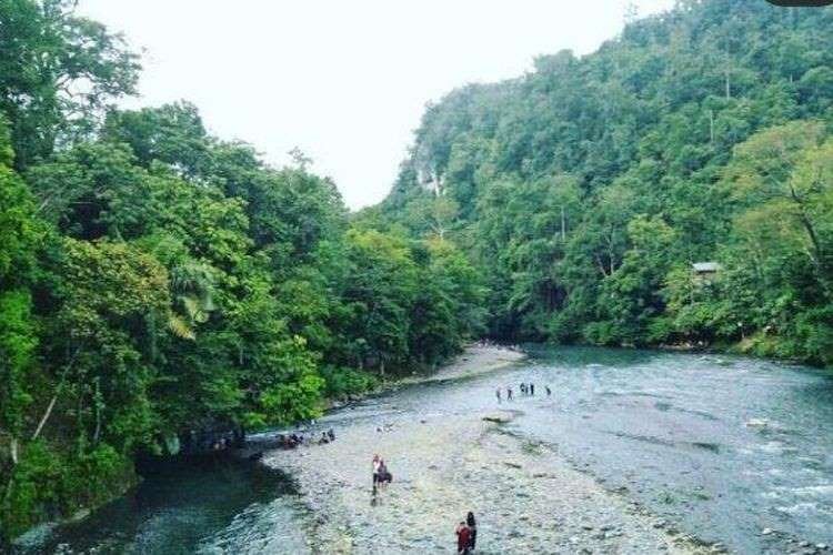 5 Kegiatan Wisata di Batu Katak Bohorok Langkat, Bisa Jelajah Goa