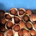 7 Camilan Khas Purworejo untuk Takjil Buka Puasa, Mulai dari Clorot hingga Mendut