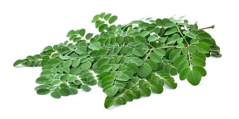 Penuh Nutrisi, Ketahui Apa Manfaat Moringa untuk Kulit