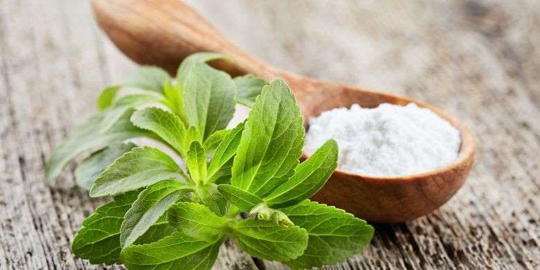 Bertanam Stevia, Nikmati Gula Bebas Kalori di Halaman Rumah