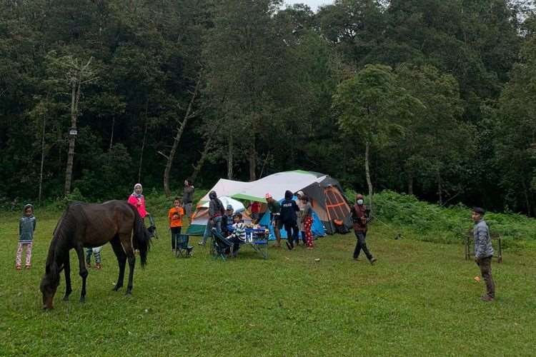 7 Aktivitas Wisata di Jungle Milk Lembang, Camping hingga Piknik