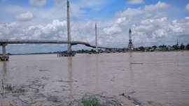 Belasan Spesies Ikan di Sungai Batanghari Jambi Terancam Punah