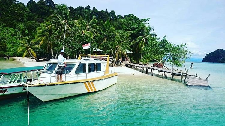 16122776 1851040121807393 8759348894090919936 n