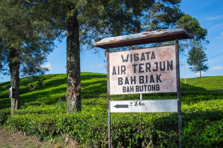 3809 Kebun Teh Bah Butong 768x511 1
