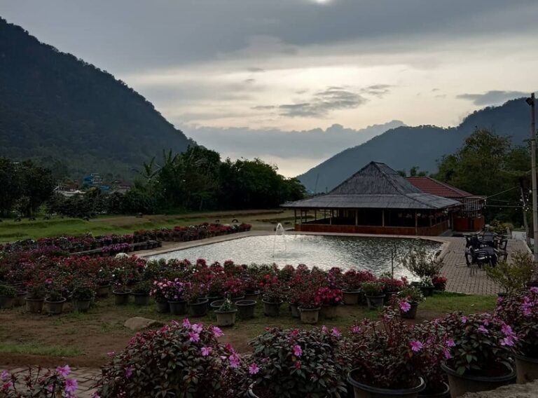 50221517762 73066c765e o 768x568