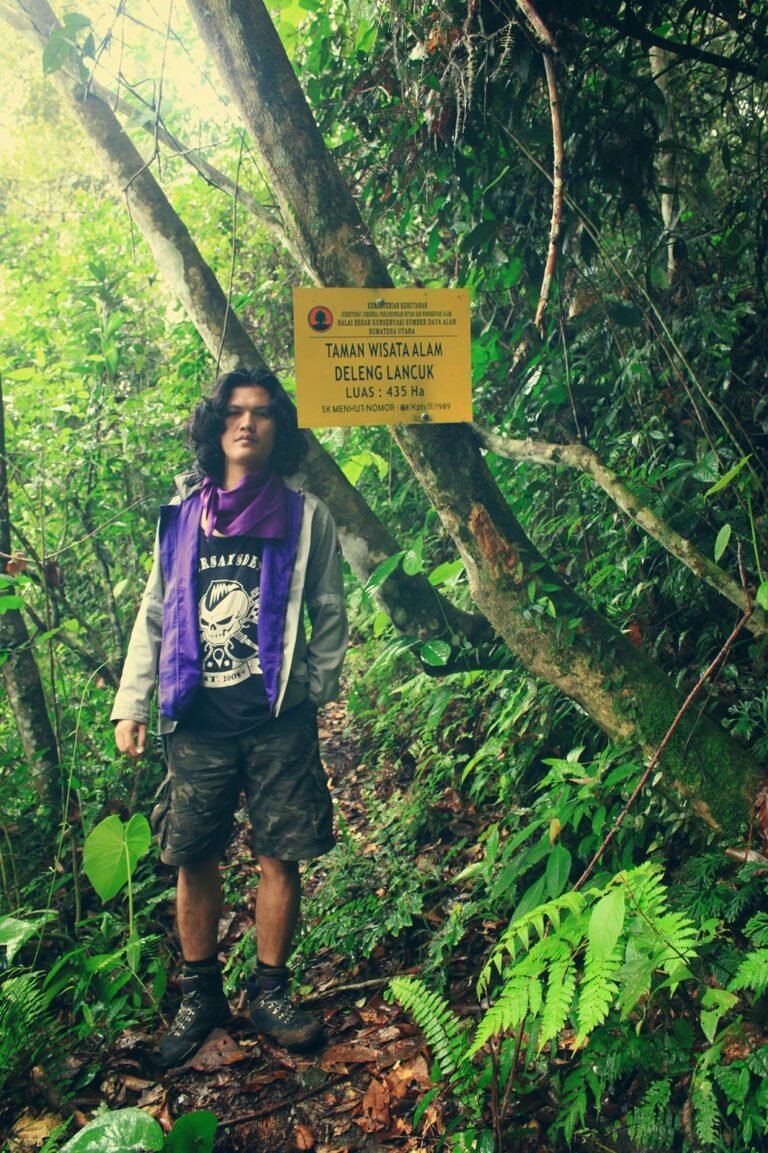 IMG 1020 1 768x1153 1