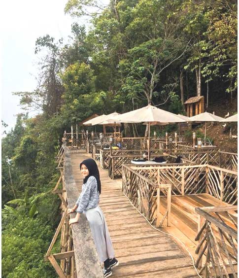 Rumah Pohon Habitat Kolam Pamah Langkat 1