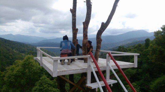 Rumah Pohon Puncak Sidiangkat