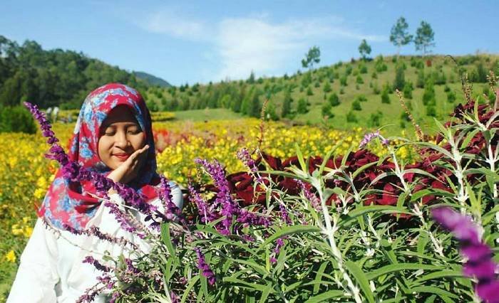 Sapo Juma Tongging 1