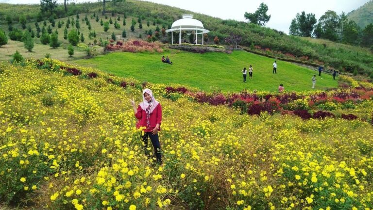 Sapo Juma Tongging Karo2 768x433 1