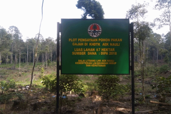 animasi Pengembangan Areal Angon Gajah 1
