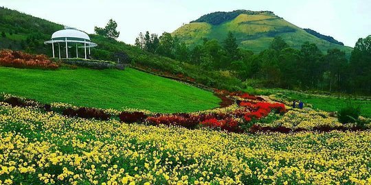 bak taman bunga di eropa intip pesona sapo juma tongging di karo