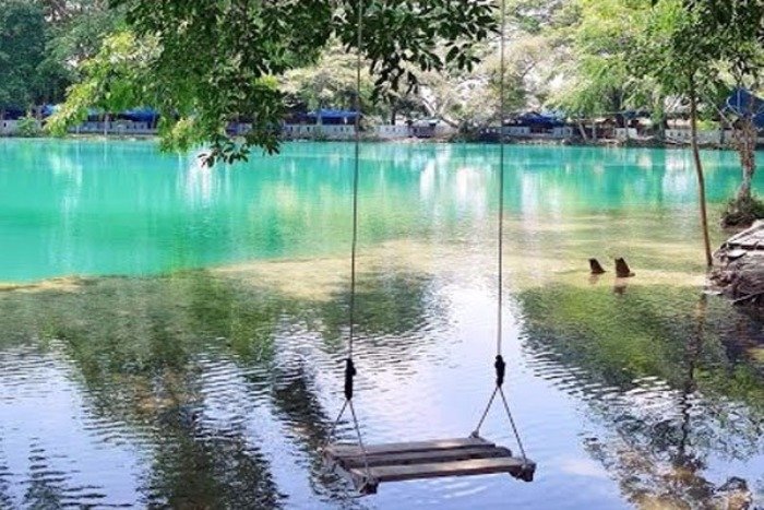 danaulinti 1577098109