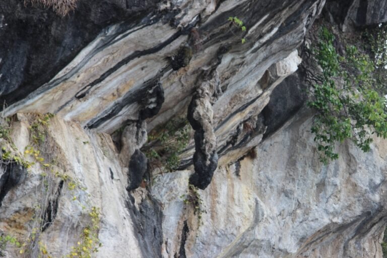 large bg a01e02844a64f74e34a23e42d7039d19 768x511 1