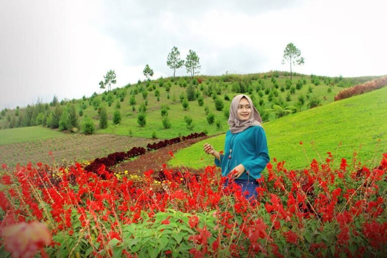 lokasi sapo juma 768x512 1