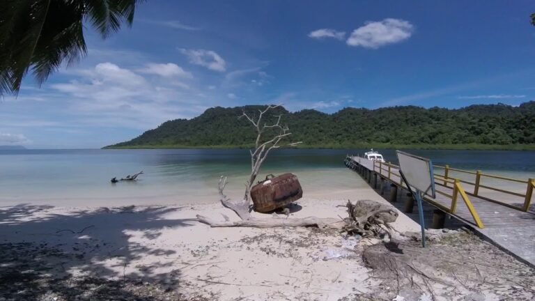 maxresdefault 2 1 768x432 1