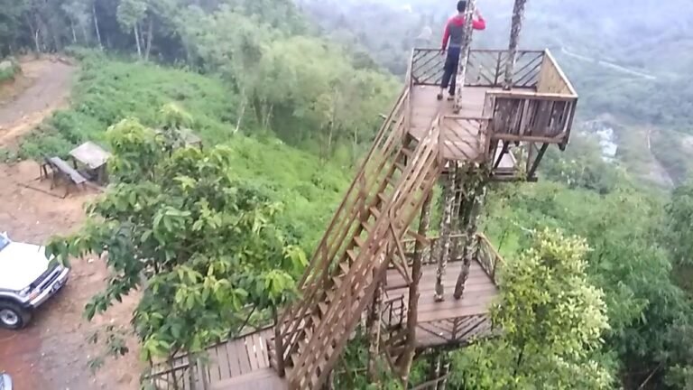 maxresdefault 3 2 768x432 1