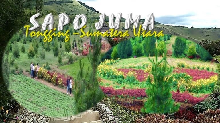 maxresdefault 6 1 768x432 1