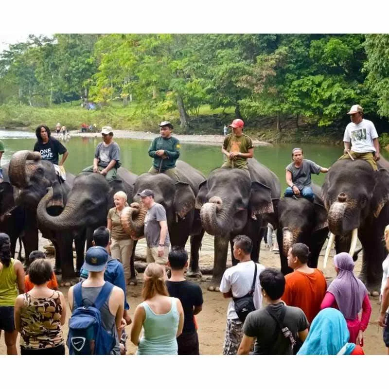 pinouva pinouva adventure in tangkahan sumatera utara 2d1n full07