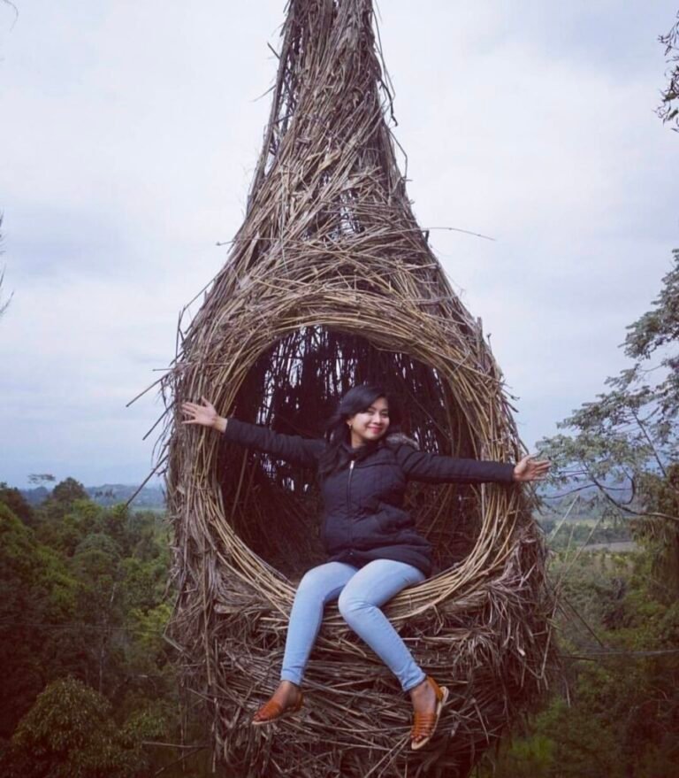 puncak sidiangkat dairi 895x1024 1 768x879