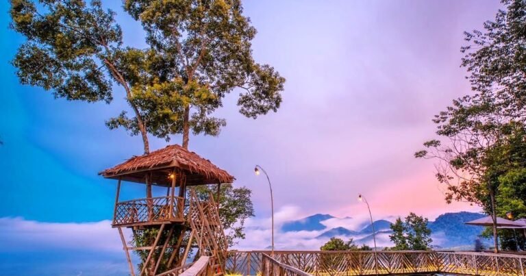 rumah pohon habitat 768x403 1 1