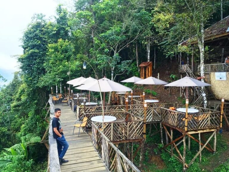 rumah pohon habitat Langkat 1024x768 1 768x576 1 1