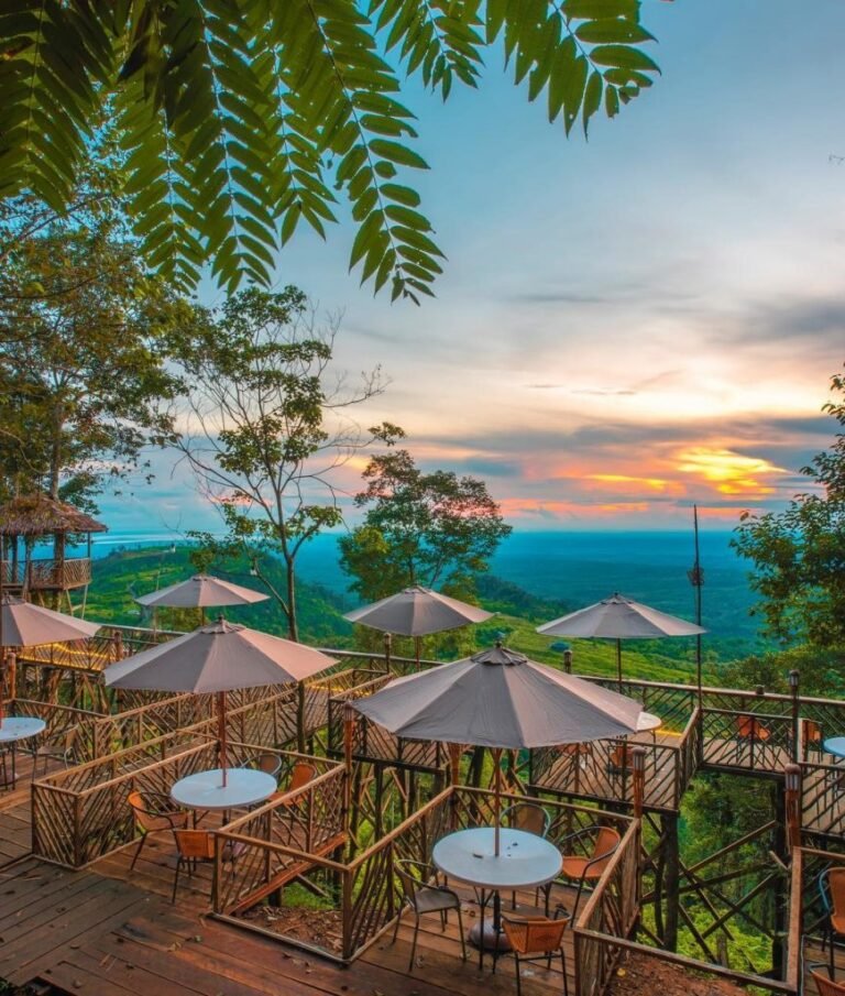 rumah pohon habitat Pamah Semelir 869x1024 1 1 768x905