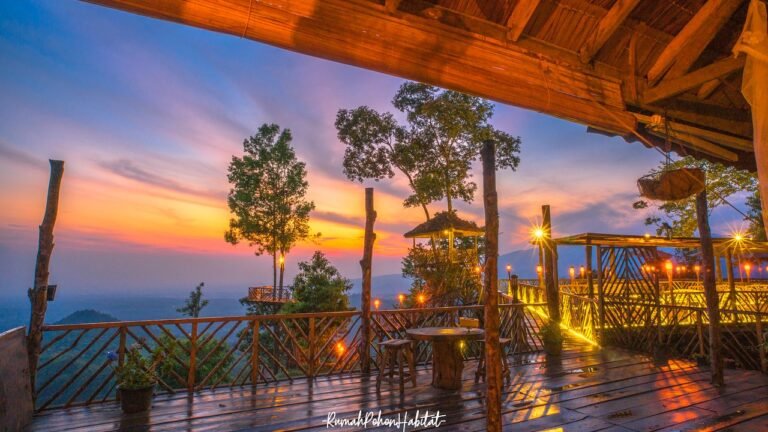 rumah pohon habitat tempat 768x432 1