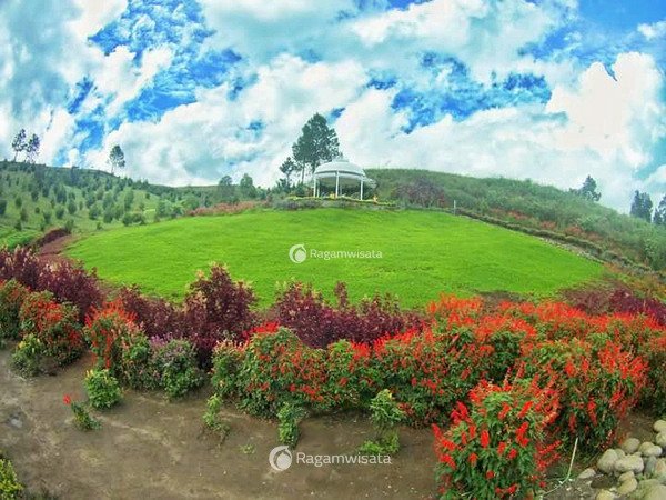 sapo juma tongging 0a