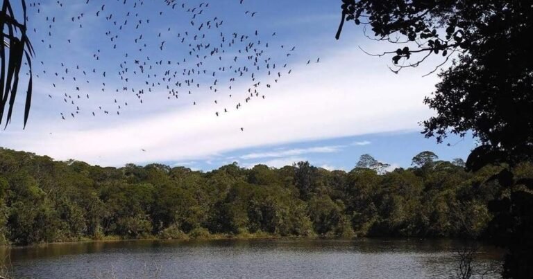 taman wisata alam sicike cikeh 768x403 1