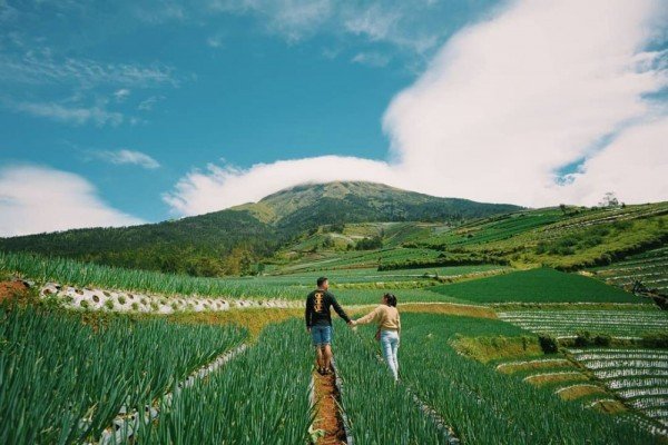 145477992 1025565251265846 1924959986334485253 n ba9984c95aae9802ad2bb270ed61ad5d 600x400