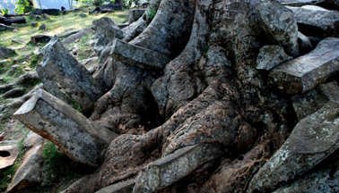 Wisata Edukasi ke 5 Situs Purbakala Indonesia, Ada Peninggalan Zaman Neolitikum