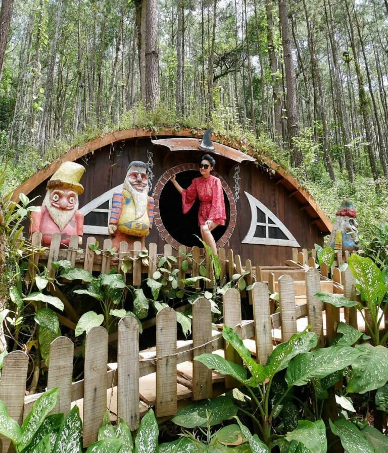 28429145 416122748829673 8025721677675495424 n 768x898