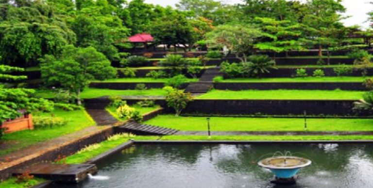 5d864a3dcf2f4 768x387