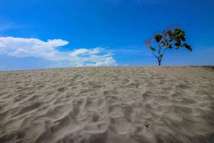 4 Gurun Pasir di Indonesia, Bisa Sandboarding dan Lihat Sunset