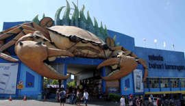 Bukan Cuma Kondang Soto Lamongan, ini 5 Destinasi Wisata Unggulan Kota Lamongan