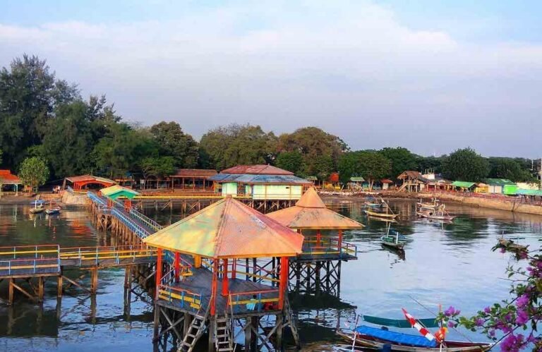 000 e1632338161511 768x499