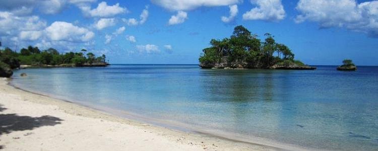 068c24dc a870 4f83 9d86 93aff096765f 800