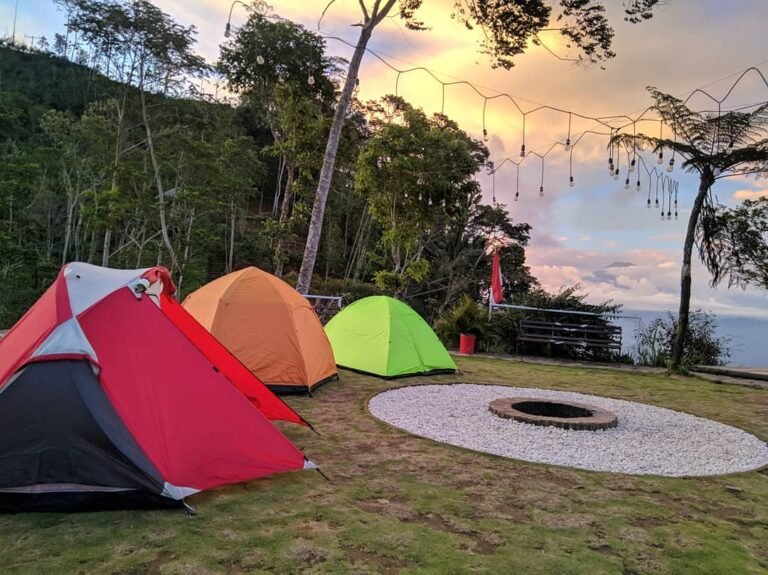 132632479 240307780782453 4222852906799378457 n 768x575